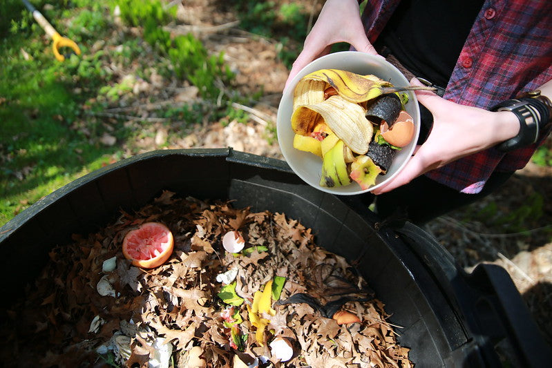 5 of the Best Food Sustainability Hacks